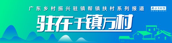 启盈策略 示范推广合理密植技术，助力翁源龙仙镇早稻亩增产超14%