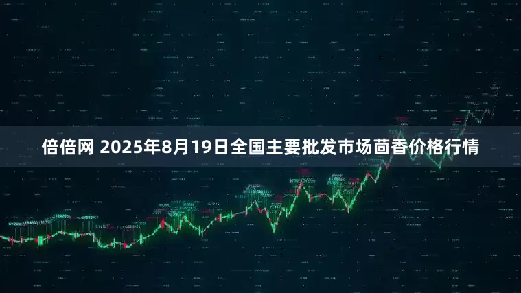 倍倍网 2025年8月19日全国主要批发市场茴香价格行情