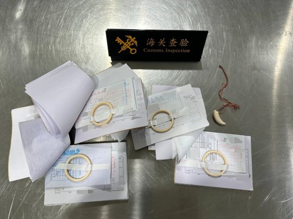 犀牛配资 杭州海关查获现生象象牙制品75.5克