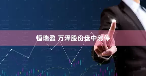 恒瑞盈 万泽股份盘中涨停